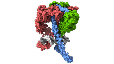 Proteinkomplex.jpg Proteinkomplex