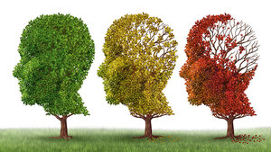 Titelbild des Fachbeitrags zu den Möglichkeiten der Labordiagnostik bei neurodegenerativen Erkrankungen