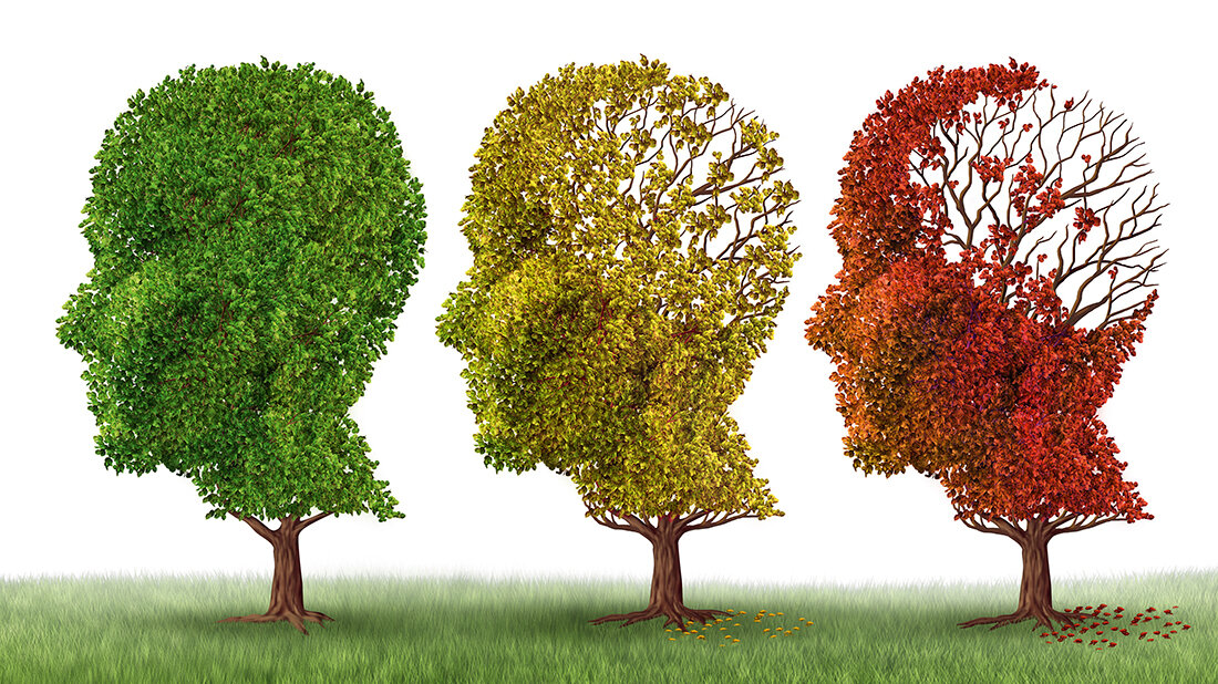 Demenz als ein Hauptsymptom neurodegenerativer Erkrankungen Titelbild des Fachbeitrags zu den Möglichkeiten der Labordiagnostik bei neurodegenerativen Erkrankungen