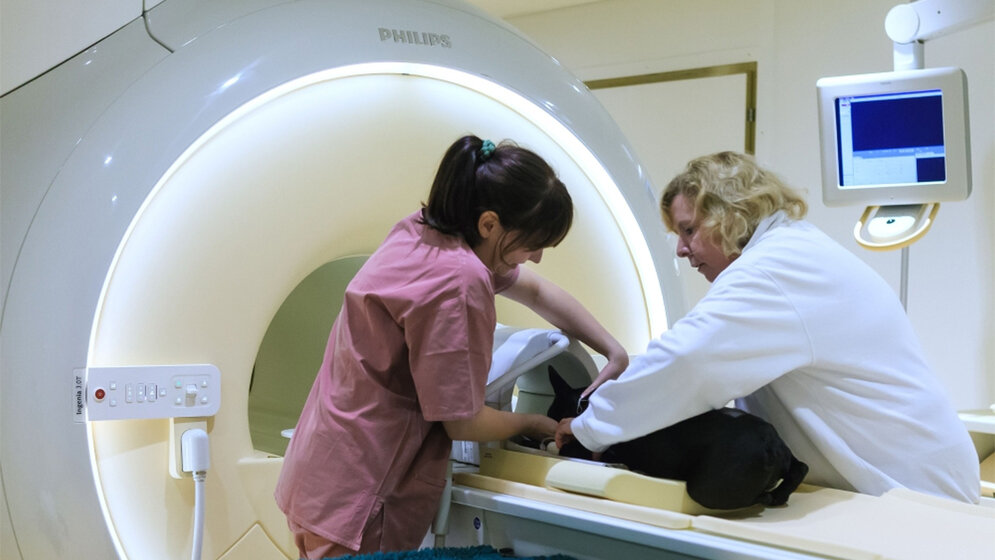 Moderne_Technik_für_Tiere_Foto_Swen_Reichhold_Uni_Leipzig.jpg Moderne Technik für Tiere