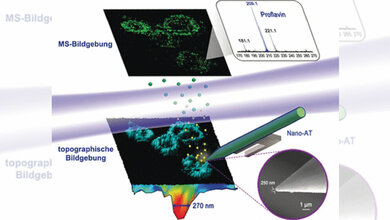 Nahfeld-Desorptions-Massenspektrometrie