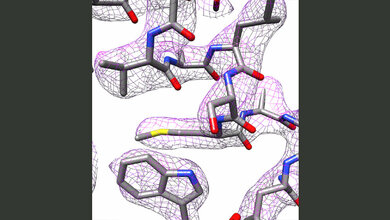 Teil der 3D-Struktur von Apoferritin