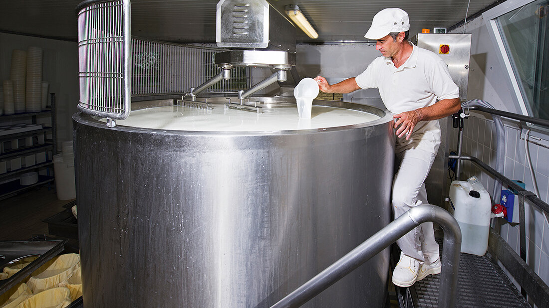 Bakteriophagen (Teil 3): Aus der Sicht der Milchwirtschaft Titelbild des dritten Teils des Fachbeitrags über Bakteriophagen