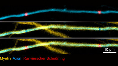 Markierungssubstanzen 