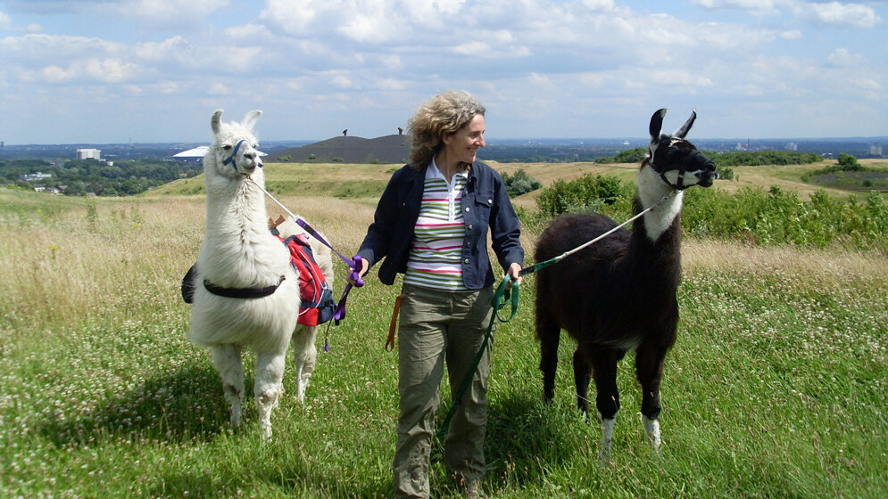 Lama-Wanderung