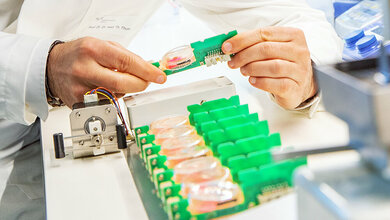 Menschliches Herzgewebe