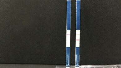 Tanaka Precious Metals Co., Ltd.