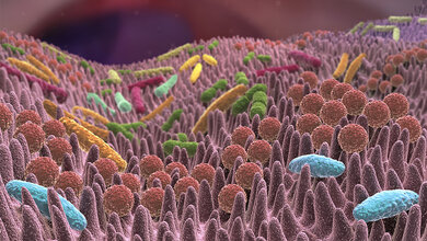 Mikrobiom