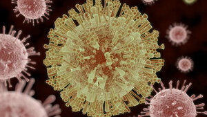 Zika-Virus-Infektionen