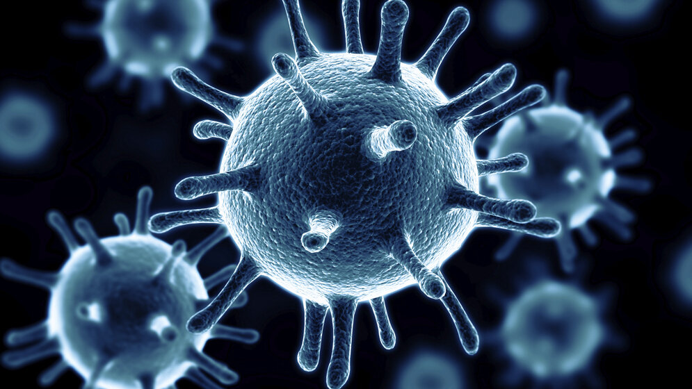 3D-Illustration von Viruspartikeln