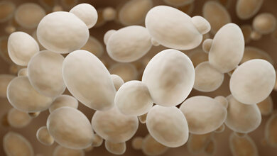 Veränderte Immunreaktion bei Morbus Crohn 