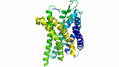 3D_Strukturmodell_von_CXCR4_mit_Antagonisten_IT1t_S_Jaehnichen_eigenes_Werk_CC_BY_SA_3_0.jpg 3D-Strukturmodell von CXCR4
