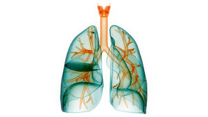 Alpha-1-Antitrypsin