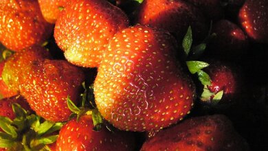 Erdbeeren_sevenstar_gemeinfrei_19052016.JPG Erdbeeren