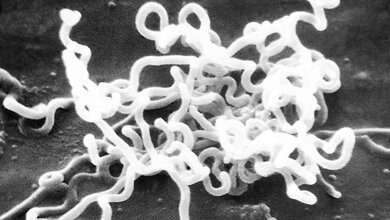 Let’s say it in English Sexually Transmitted Diseases (I)