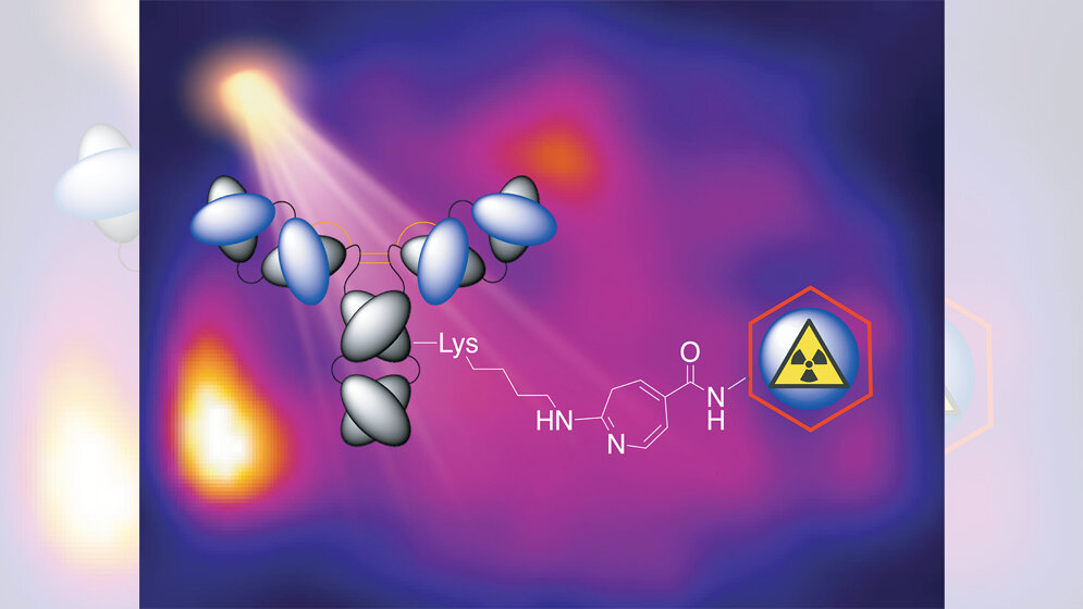 radioaktiv markierte Antikörper in nur 15 Minuten