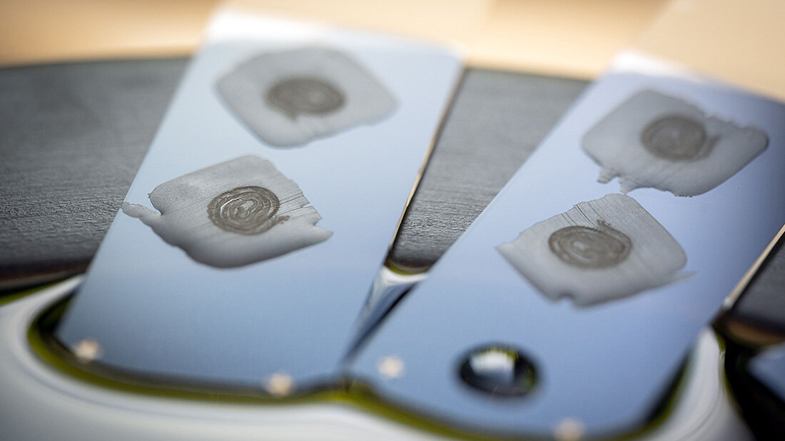 Darmproben auf zwei Objektträgern