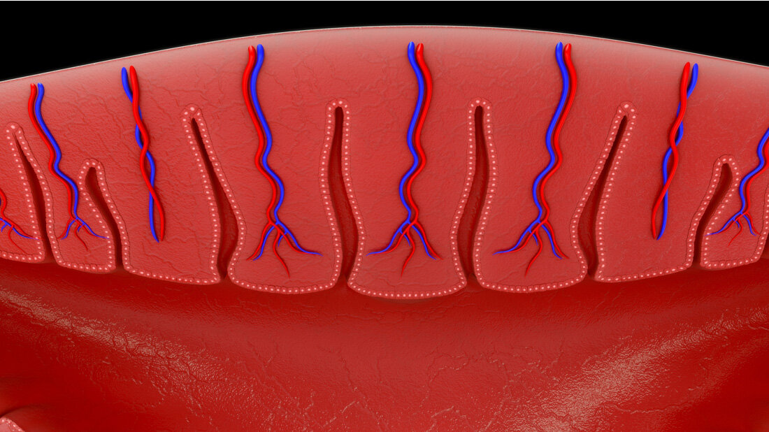 Symbolhafte Darstellung des Endometriums einer Frau.