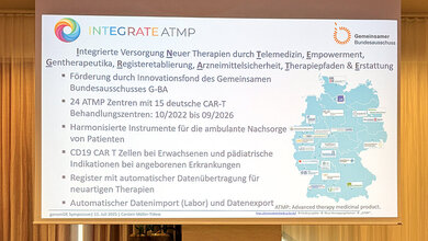 Foto des Schemas von Prof. Dr. Müller-Tidow