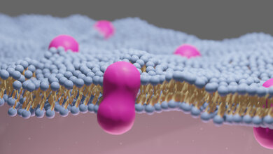 3D Illustration der extrazellulären Matrix des Menschen