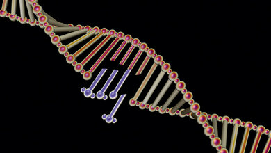 Genome Editing mittels CRISPR/Cas9