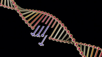 Genome Editing mittels CRISPR/Cas9