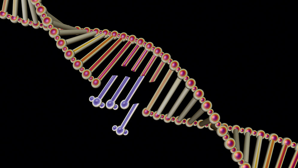Genome Editing mittels CRISPR/Cas9