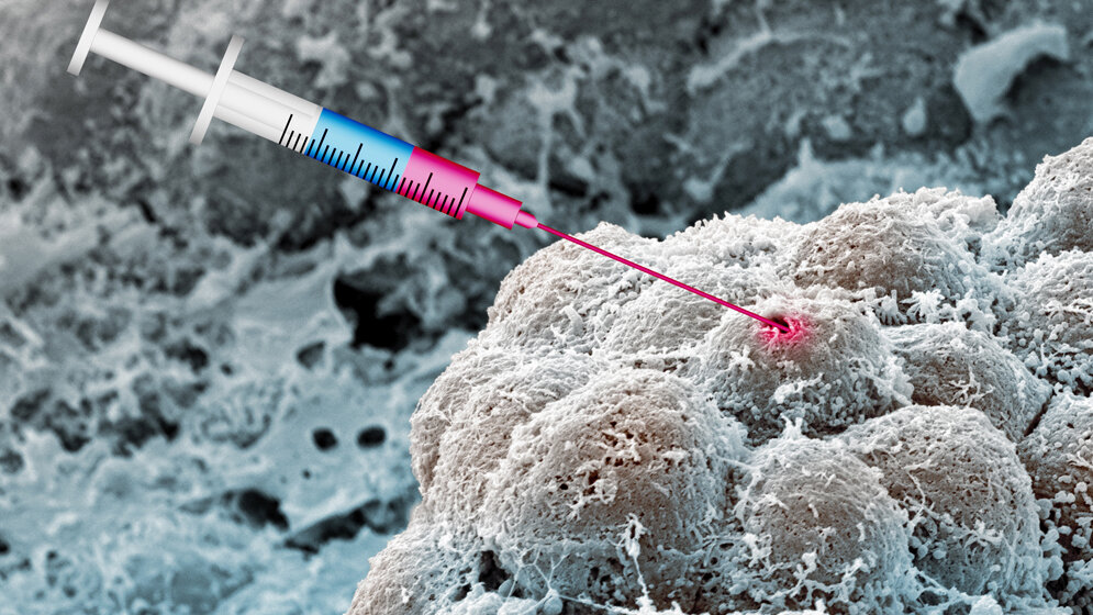 Illustration_der_Anti_Krebs_Wirkung_Evi_Bieler_NanoImaging_Lab_Universitaet_Basel.jpg Illustration der Anti-Krebs-Wirkung