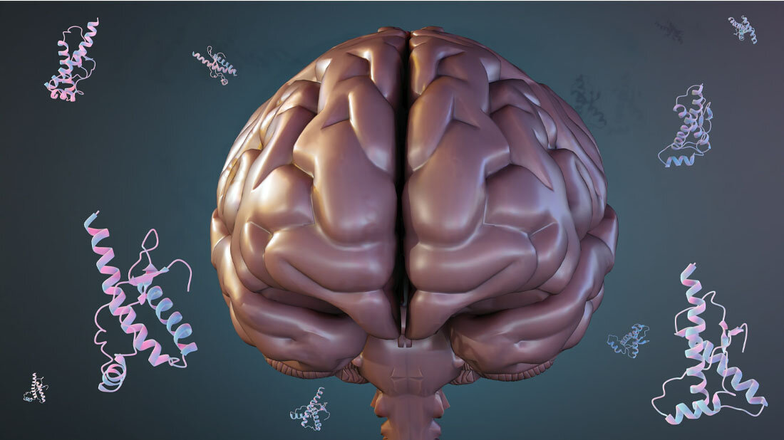 Prionen.jpg Prionen schädigen das Gehirn