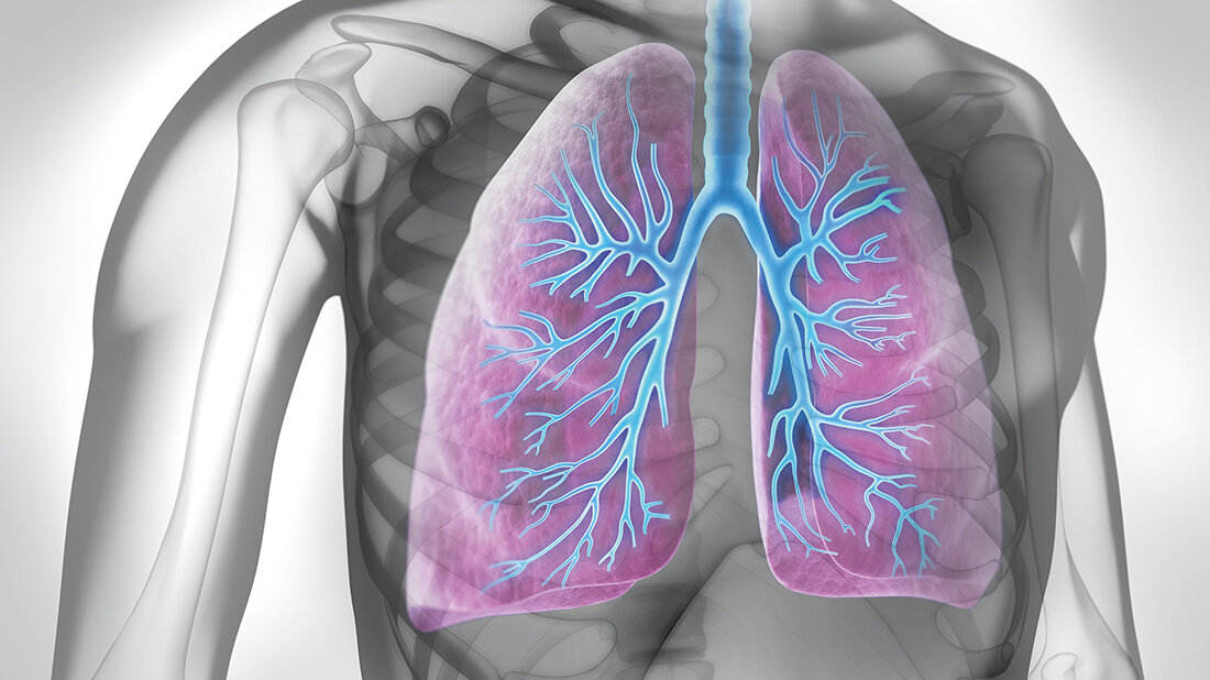Titelbild zu Amend-Barudio, Entzündung in den Bronchien messen