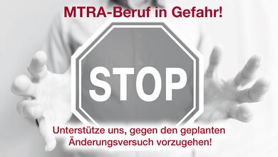 Berufspolitik