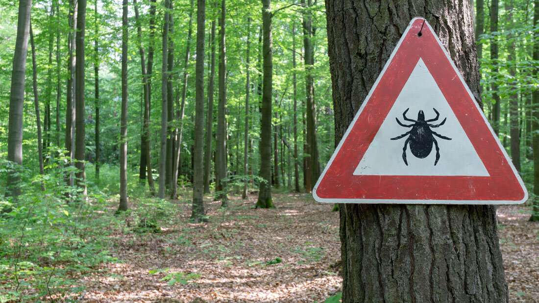 Zeckenwarnung.jpg Zeckenwarnschild im Wald