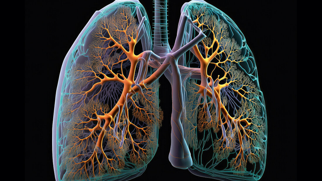 Titelbild des Fachbeitrags zur MRT-Diagnostik bei Mukoviszidose