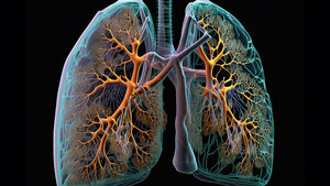Titelbild des Fachbeitrags zur MRT-Diagnostik bei Mukoviszidose