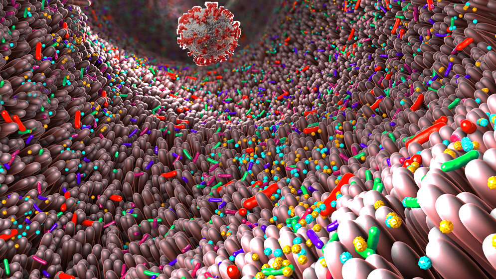 Welchen Einfluss hat das Mikrobiom bei einer SARS-CoV-2-Infektion?