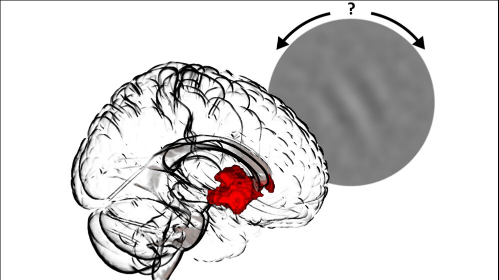 Probanden_loesen_Wahrnehmungsaufgaben_charite_05042016.jpg Probanden lösen Wahrnehmungsaufgaben