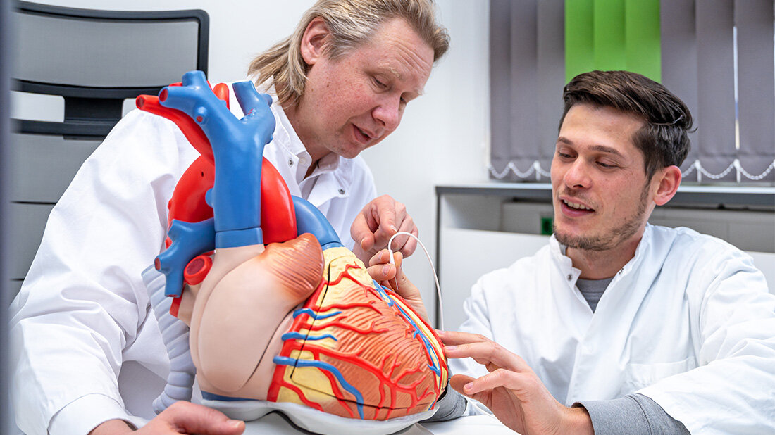 Spenderherzen während des Transports schützen