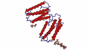 Multiple Sklerose – ein Fallbeispiel