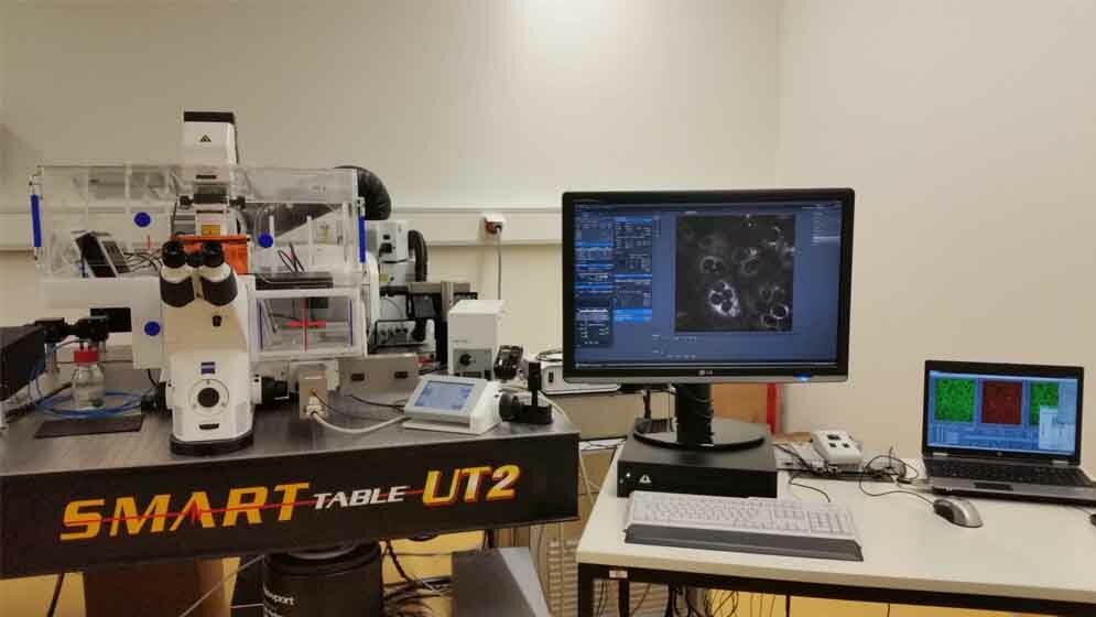 Fluoreszenz- (FLIM) und Phosphoreszenzmessung (PLIM)