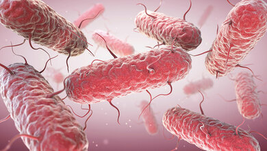 Titelbild zum englischen Beitrag über Infektionskrankheiten