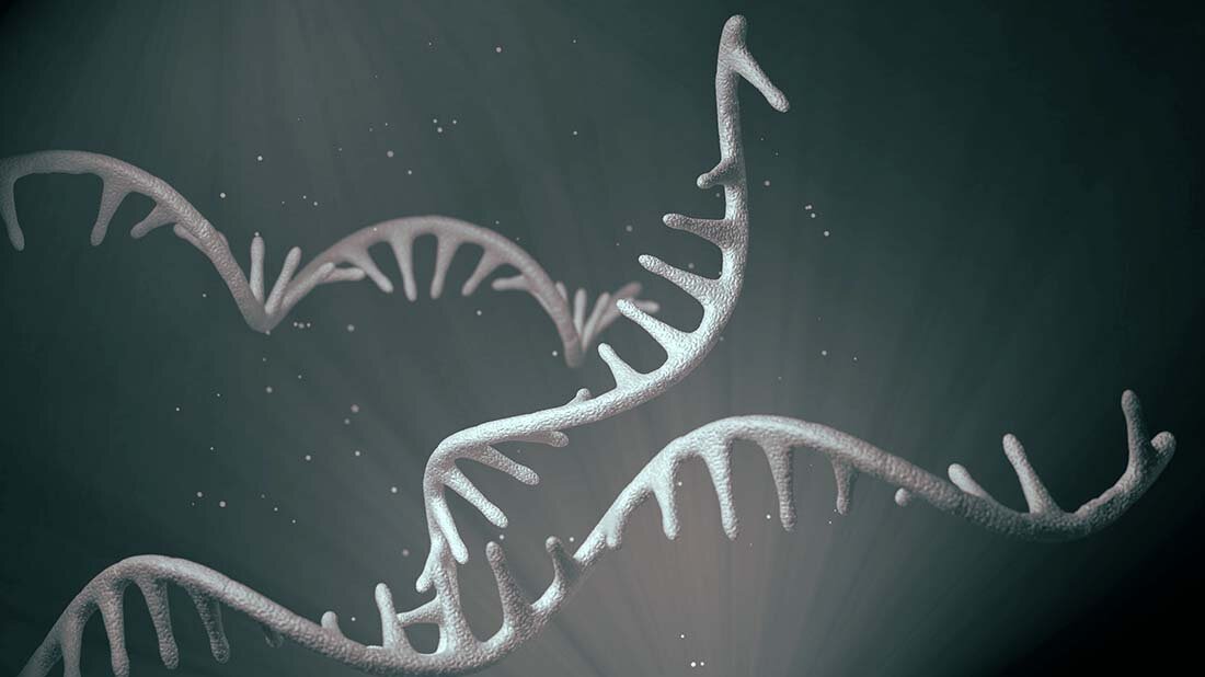 Aktuelle Studie zur Aktivierung von Abwehrzellen nach COVID-19 mRNA-Impfung publiziert