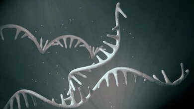 Aktuelle Studie zur Aktivierung von Abwehrzellen nach COVID-19 mRNA-Impfung publiziert