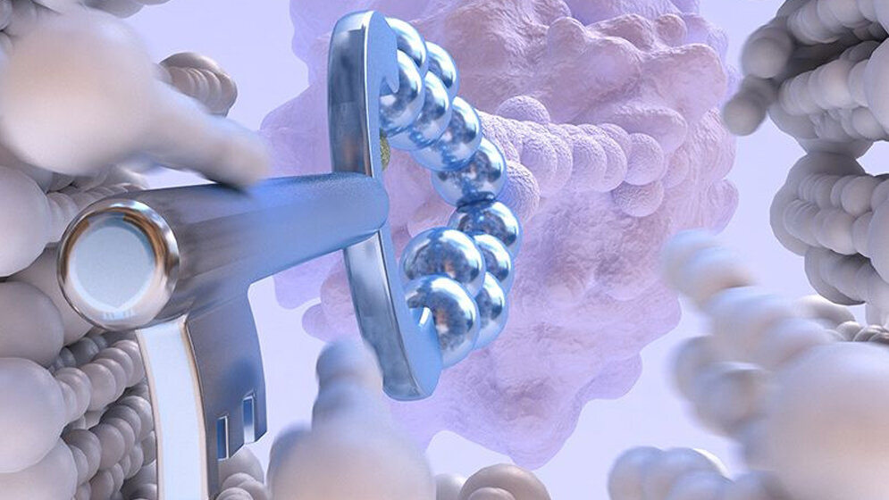 Zyklisch zellpenetrierende Peptide