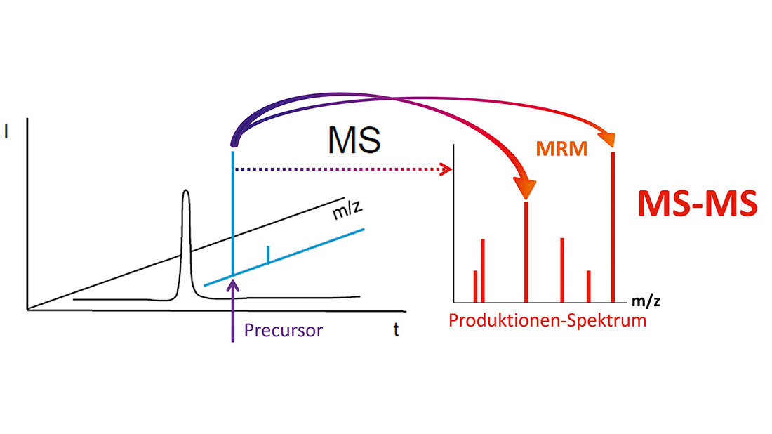 Massenanalysatoren in der LC-MS Schematische Darstellung des Prinzips der Tandem-Massenspektrometrie