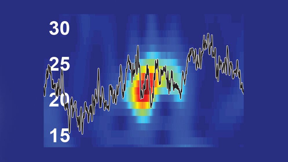 Eine Darstellung der neuronalen Schwingungen