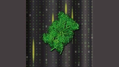 Forscherinnen und Forscher identifizierten und quantifizierten Fragmente, die das Proteasom beim Proteinrecycling erzeugt und auch neu zusammenfügt.