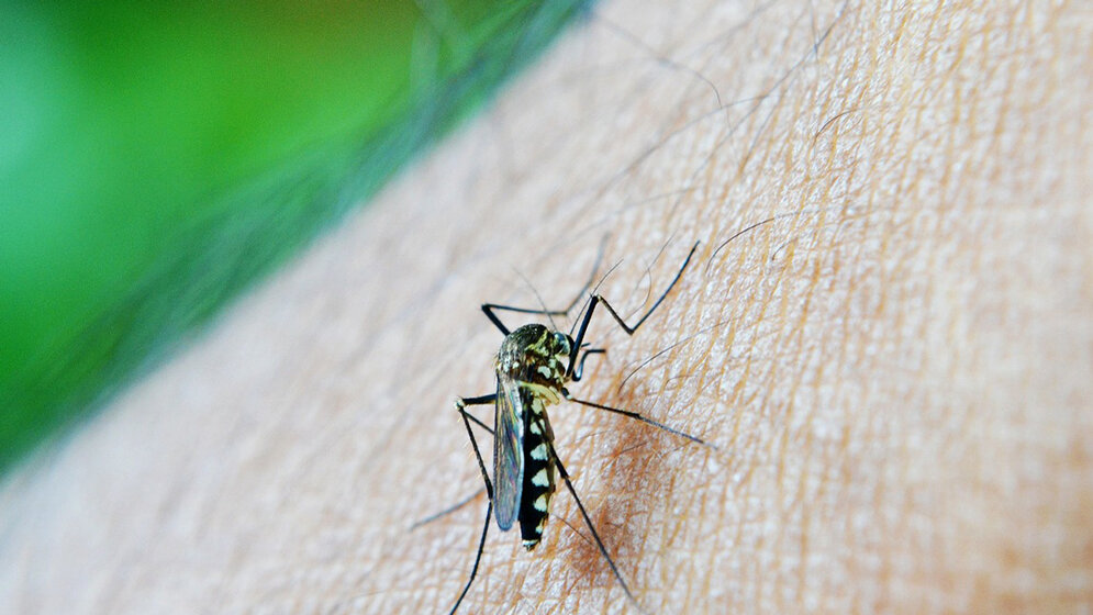 Malaria