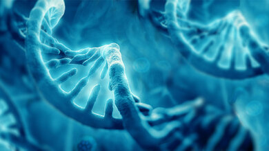 DNA_0102.jpg DNA Stränge