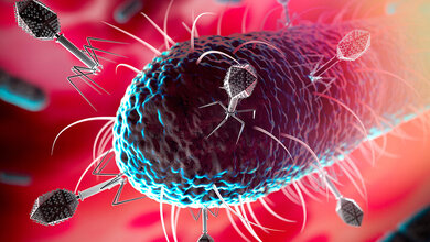 Phagentherapie.jpg