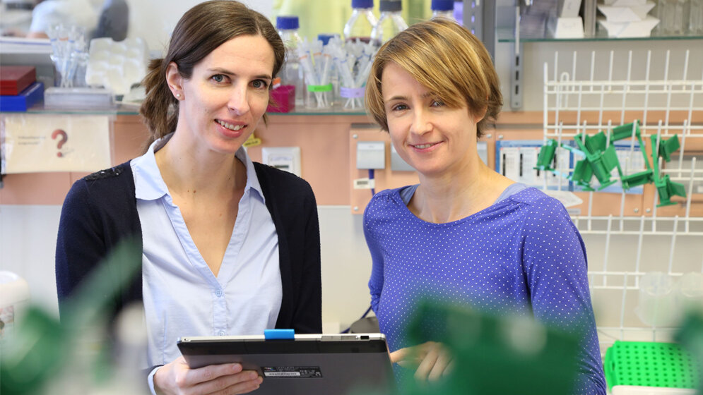 Prof. Martina Rauner und Dr. Ulrike Baschant